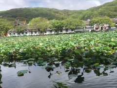 -普陀山风景名胜区-法雨禅寺