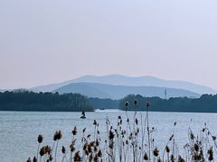 -苏州太湖国家湿地公园
