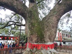 -新安江山水画廊风景区