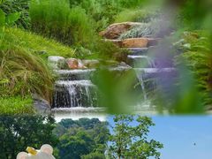 -云溪植物园