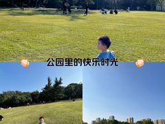 -青枫公园