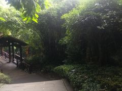 -天赐温泉