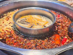 -一斗火锅·招财羊毛肚(泰吉滨江店)