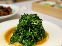 -新吉士·上海菜(浦东LCM置汇旭辉店)