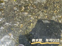 -黑河国家森林公园