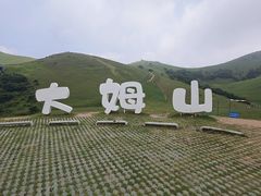 -大姆山草场