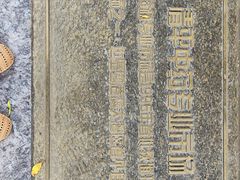 -清平中药材专业市场