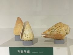 -蓬莱欧乐堡海洋极地世界
