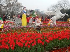 android_upload_pic-解放公园