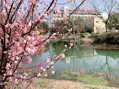 -安徽工业大学(秀山校区)