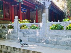-潭柘寺景区