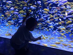 -成都浩海立方海洋公园