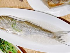 太湖大白鱼-江南原著(中联广场店)