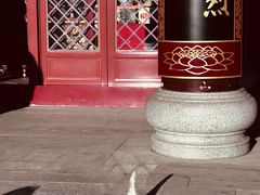 -天津妈祖文化园