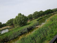 -北京麋鹿生态实验中心