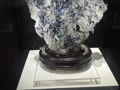 -中国地质大学逸夫博物馆