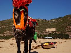 -陕西黄河壶口瀑布旅游区