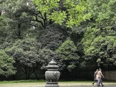 -灵谷景区