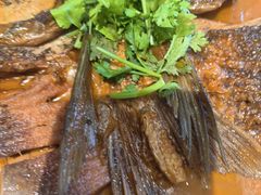 -闫水饺大酒楼·北京老闫靓马饺子馆