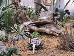 -郑州植物园