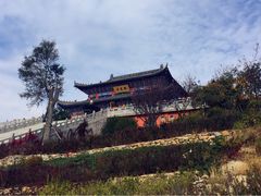 -石老人观光园