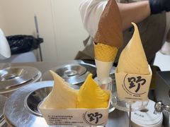 -野人先生现做冰淇淋(北京环宇荟店)