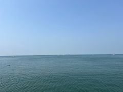-龍歌自助小火锅(市南金茂湾店)