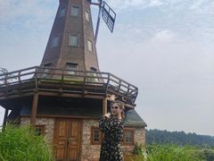 -大塘金香草谷