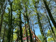 -上海共青森林公园