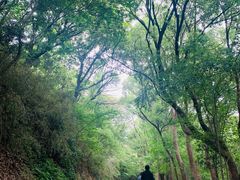 -佘山国家森林公园-西佘山停车场