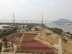 -芒洲湿地公园