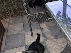 -德克士(砂之船奥特莱斯店)