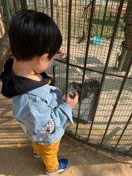 -萌宠亲子动物乐园(槐房万达店)