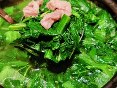 农家土猪肉浸菜青-滋粥楼·顺德菜(番禺广场总店)