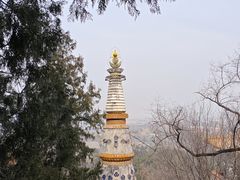 -颐和园