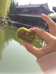 -南来顺饭庄·宴会厅(南菜园店)