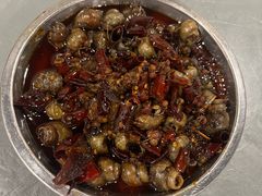 麻辣炒田螺-辣螃铠盆盆蟹大排档(总店)