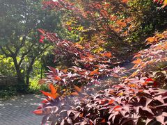 -虞山风景区