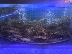 -福禧荟·海鲜自助