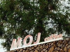 -MOJ coffee(瓯海泽雅水碓坑店)