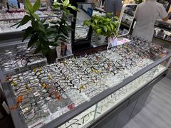 -华彬眼镜专业渐进配镜(潘家园店)
