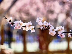 -太阳宫公园