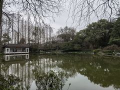 -杭州植物园