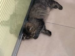 -美迦爱-牙专科·兔科·骨科诊疗中心(北苑店)