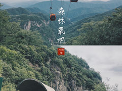 -牛背梁国家森林公园