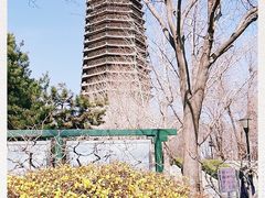 -玲珑塔公园