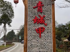 -青城甲(青城山店)