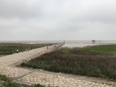 -南汇嘴观海公园