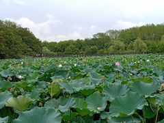 -淹城春秋乐园