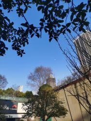 -南京市儿童医院(河西院区)
